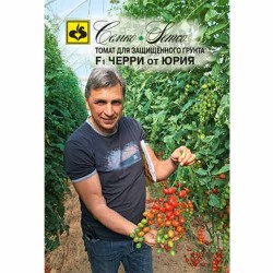 Томат черри от Юрия F1 Семко (82560): купить семена почтой в России | интернет-магазин Беккер