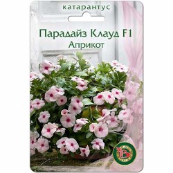 Катарантус (винка) Парадайз Клауд априкот F1 Биотехника (40423): купить семена почтой в России | интернет-магазин Беккер