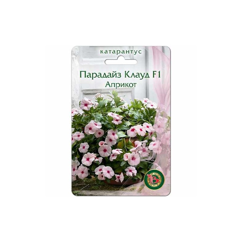 Катарантус (винка) Парадайз Клауд априкот F1 Биотехника (40423): купить семена почтой в России | интернет-магазин Беккер Катарантус (винка) Парадайз Клауд априкот F1 Биотехника (40423): купить семена почтой в России | интернет-магазин Беккер