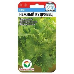 Салат кудрявый Нежный кудрявец Сибирский сад (94387): купить семена почтой в России | интернет-магазин Беккер