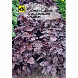 Перилла овощная красная Семко (84152): купить семена почтой в России | интернет-магазин Беккер