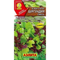 Салат бэби Бургундия, смесь сортов Аэлита (98522): купить семена почтой в России | интернет-магазин Беккер