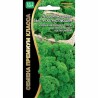 Петрушка кудрявая Быстроотрастающая Уральский дачник (99273): купить семена почтой в России | интернет-магазин Беккер