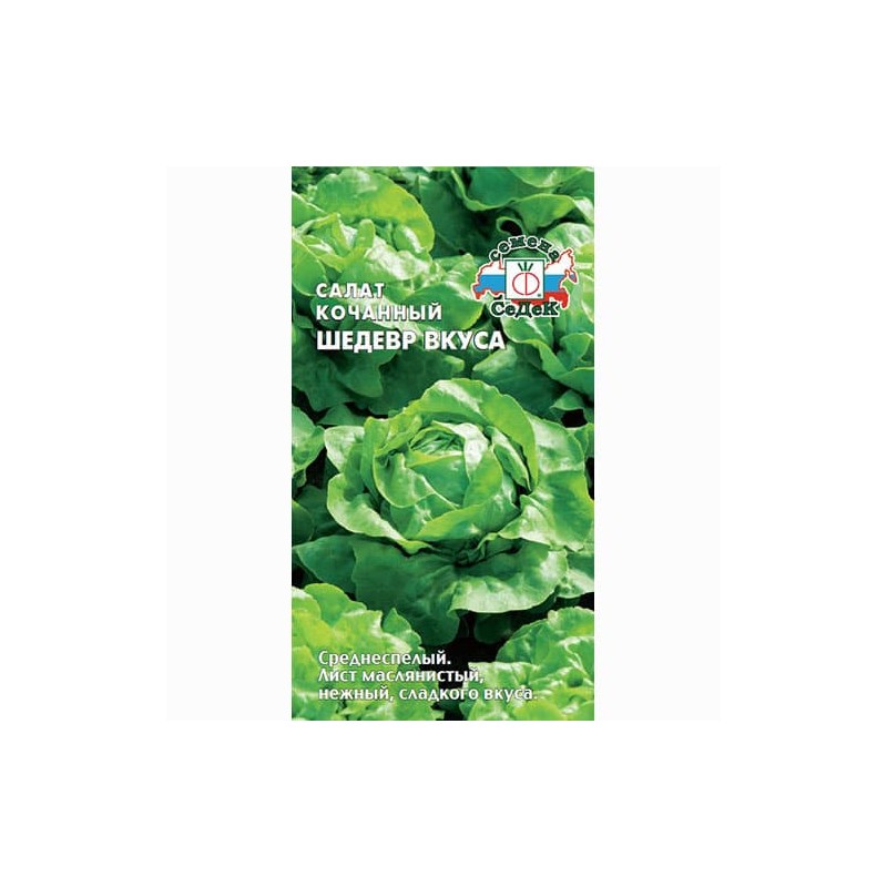Салат кочанный Шедевр вкуса Седек (84918): купить семена почтой в России | интернет-магазин Беккер