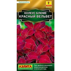 Колеус блюме Красный вельвет Аэлита (98967): купить семена почтой в России | интернет-магазин Беккер