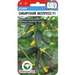 Огурец Сибирский экспресс F1 Сибирский сад (65400): купить семена почтой в России | интернет-магазин Беккер