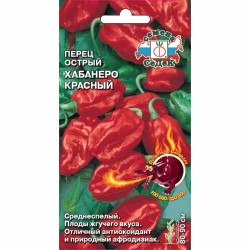 Перец острый Хабанеро красный Седек (40543): купить семена почтой в России | интернет-магазин Беккер