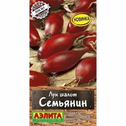 Лук шалот Семьянин Аэлита (40090): купить семена почтой в России | интернет-магазин Беккер