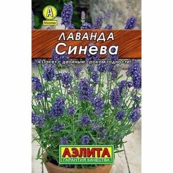 Лаванда Синева Аэлита (40077): купить семена почтой в России | интернет-магазин Беккер
