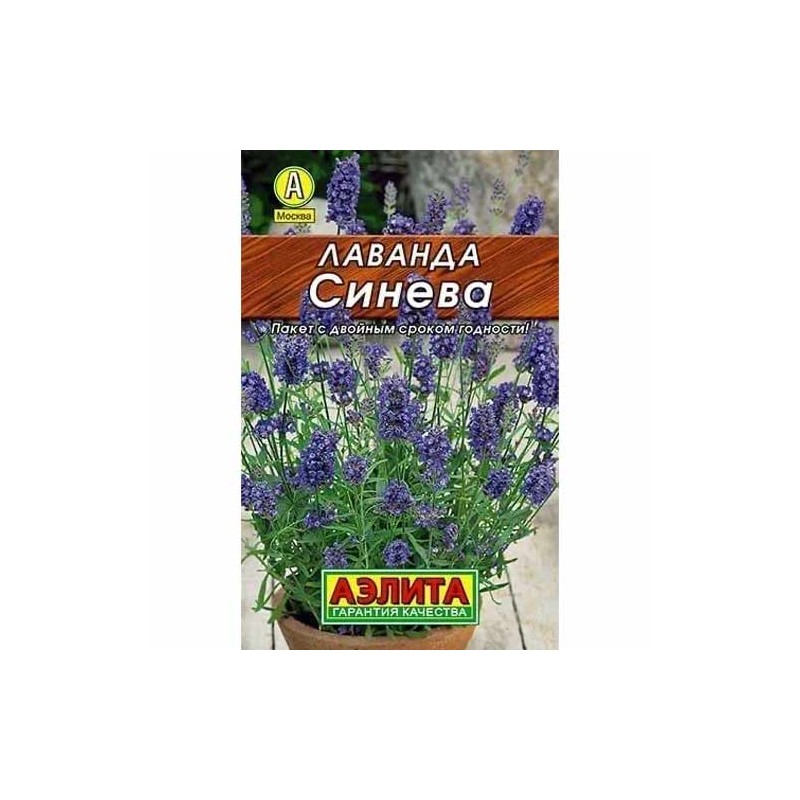 Лаванда Синева Аэлита (40077): купить семена почтой в России | интернет-магазин Беккер Лаванда Синева Аэлита (40077): купить семена почтой в России | интернет-магазин Беккер