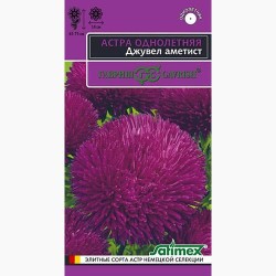 Астра игольчато-коготковая Джувел Аметист Гавриш (97579): купить семена почтой в России | интернет-магазин Беккер