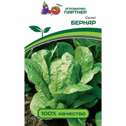 Салат кочанный Бернар Партнер (84046): купить семена почтой в России | интернет-магазин Беккер