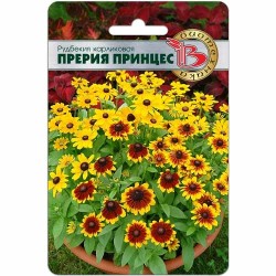 Рудбекия карликовая Прерия Принцес Биотехника (40445): купить семена почтой в России | интернет-магазин Беккер