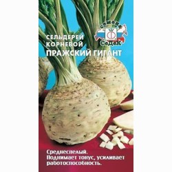 Сельдерей корневой Пражский гигант Седек (71676): купить семена почтой в России | интернет-магазин Беккер
