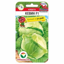 Капуста белокочанная Кевин F1 Сибирский сад (88106): купить семена почтой в России | интернет-магазин Беккер