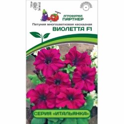 Петуния многоцветковая каскадная Итальянка Виолетта F1 Партнер (73550): купить семена почтой в России | интернет-магазин Беккер