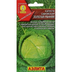Капуста савойская Золотая ранняя Аэлита (98285): купить семена почтой в России | интернет-магазин Беккер
