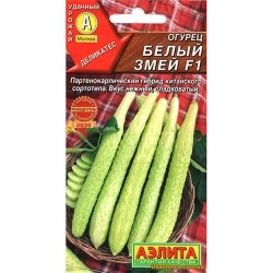 Огурец китайский Белый змей F1 Аэлита (98406): купить семена почтой в России | интернет-магазин Беккер